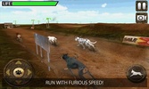 Greyhound Dog Racing 3D screenshot 17