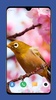 Beautiful Spring Wallpaper 4K screenshot 1