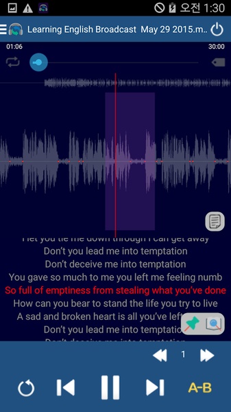 Auto Repeat Player - Preview 1
