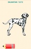 Draw Dogs screenshot 5