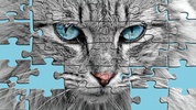 Big puzzles with cats screenshot 8