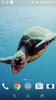 Turtle 3D Live Wallpaper screenshot 1