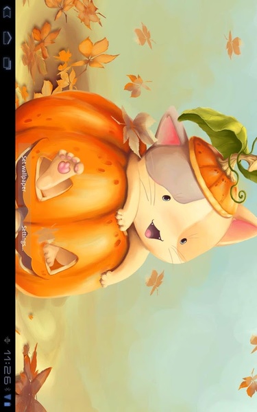 Pumpkin Kitten Live Wallpaper Free - Preview 1