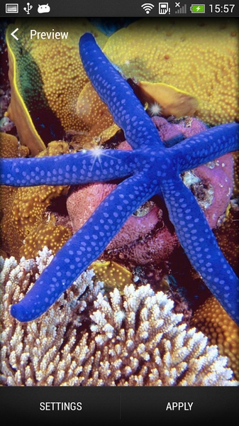 Sea Animals Live Wallpaper - Preview 1