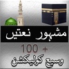 Naat Book urdu screenshot 1