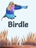 Birdle screenshot 6