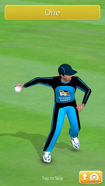 Smashing Cricket - Preview 3