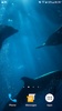 Dolphins Underwater Video Live Wallpaper screenshot 3