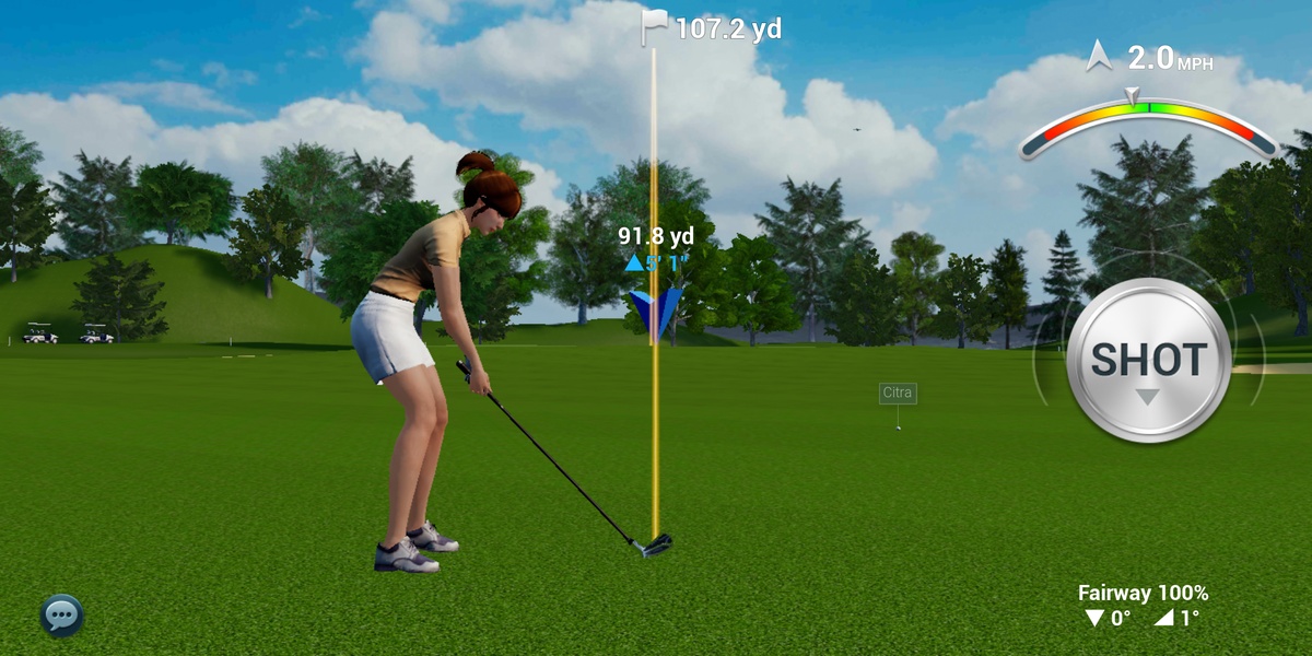Perfect Swing - Preview 3