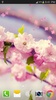 Sakura Live Wallpaper PRO screenshot 1