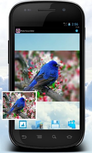 Photo Focus Editor - Preview 3