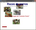 Razas de perros screenshot 2