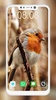Bird Wallpaper screenshot 2