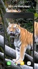 Tiger 3d Live Wallpaper screenshot 5