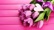 Pink Tulips Live Wallpaper screenshot 1