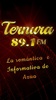 Ternura 89.1 FM screenshot 2