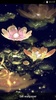Water Lotus Lantern screenshot 2