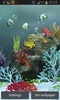 Aquarium Live Wallpaper screenshot 7