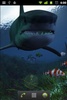 sharkattack screenshot 1