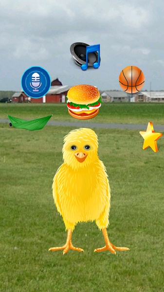 Talking Chicken Deluxe - Preview 7