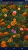 Autumn Flowers Live Wallpaper screenshot 1