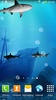 3D Sharks Live Wallpaper screenshot 3