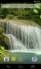 Tropical waterfall Video LWP screenshot 3