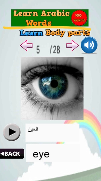 Learn Arabic Words - Preview 4