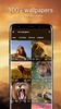 Lion Wallpapers 4K screenshot 5