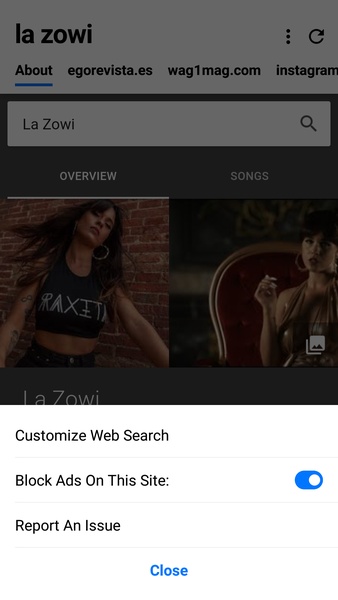 Cake Web Browser - Preview 10