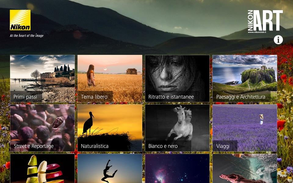 Nikon Art - Preview 3
