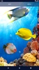 Fish Ocean Live Wallpaper screenshot 4