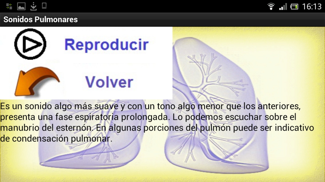 ruidospulmonares - Preview 3