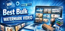 123 Bulk Video Watermark feature