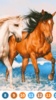 Horse Color by Number screenshot 2
