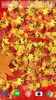 Autumn leaves 3D LWP screenshot 8