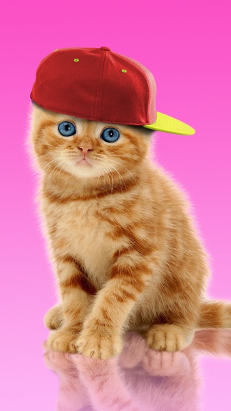 Sweet Cat and Caps - Preview 7