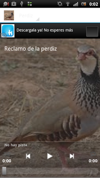Reclamo de perdiz - Preview 2
