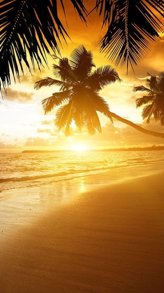 Beach Sunset Live Wallpaper - Preview 5