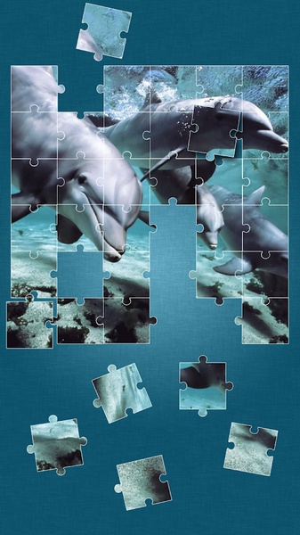 Animals Jigsaw Puzzle - Preview 13