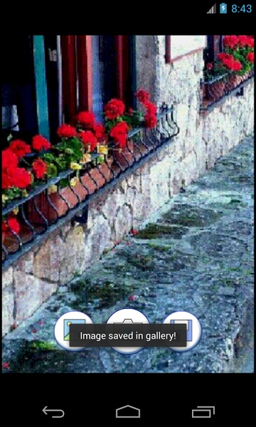 oil painting photo - Preview 1