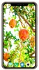 Fruit Trees Wallpaper HD screenshot 7
