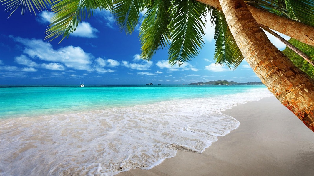 Beach Live Wallpaper - Preview 6