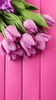 Pink Tulips Live Wallpaper screenshot 6