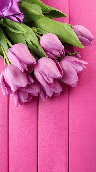 Pink Tulips Live Wallpaper - Preview 6