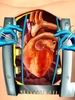 Heart Doctor screenshot 8