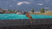 Boxer Dog Simulator screenshot 10