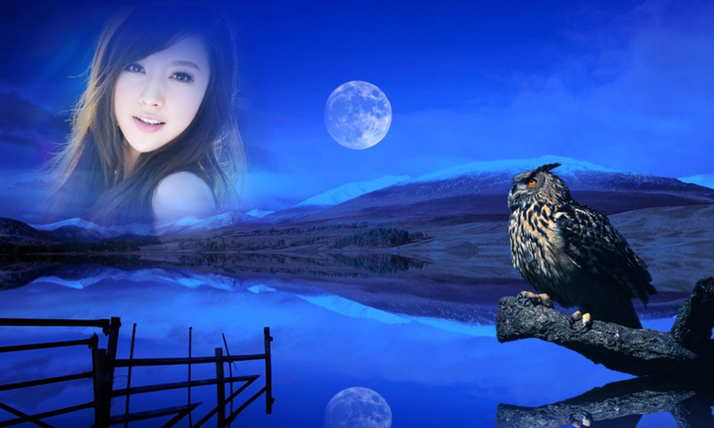 Wildlife Photo Frame - Preview 2