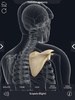 Skeleton Anatomy Pro. screenshot 5