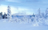 Snowscape Jigsaw Puzzles screenshot 1